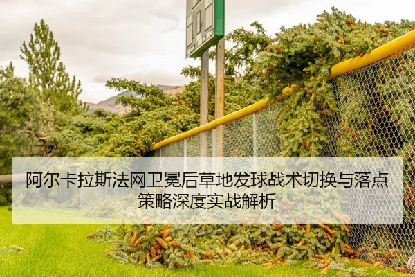 a-er-ka-la-si-fa-wang-wei-mian-hou-cao-di-fa-qiu-zhan-shu-qie-huan-yu-luo-dian-ce-lve-shen-du-shi-zhan-jie-xi-2-808.jpg